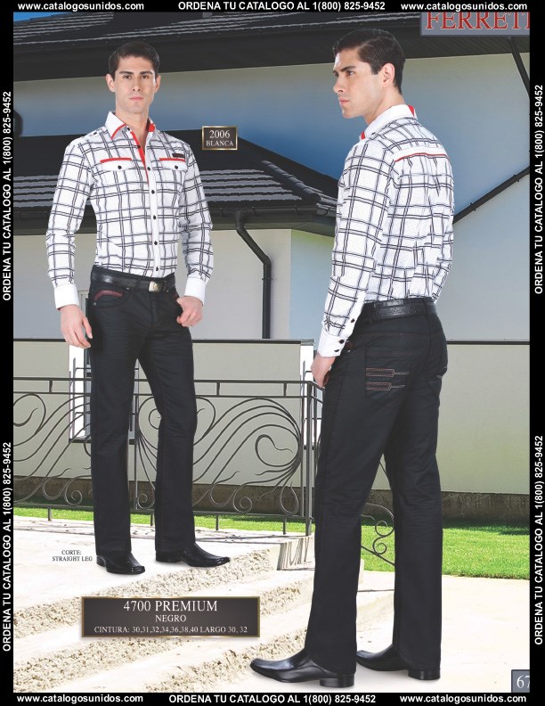 Ferreti2014 (Page 67)